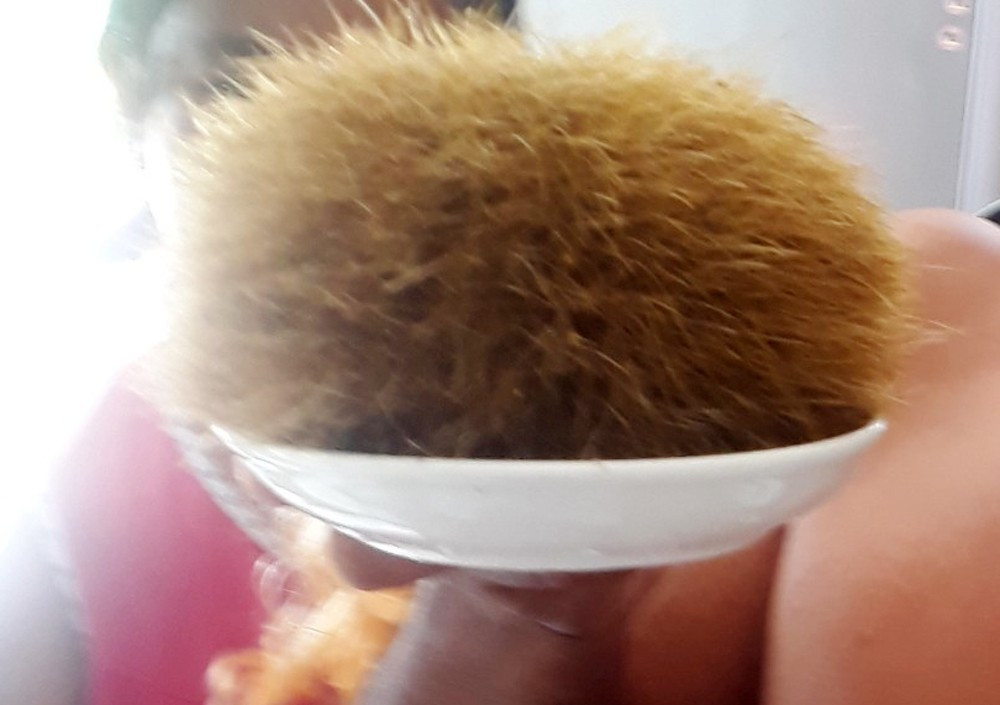 Soc Trang: Mo lon 300kg an Tet, phat hien vat the la