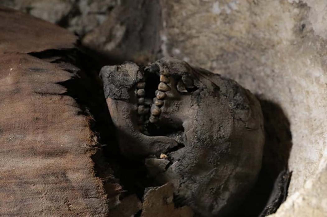 Các nhà khảo cổ Ai Cập cho hay đã tìm thấy một lăng mộ của vương triều Ptolemaic (323 - 30 trước Công nguyên) tại khu khảo cổ Tuna El-Gebel, Minya, cách thủ đô Cairo khoảng 250 km về phía Nam. Bên trong lăng mộ có 50 xác ướp.