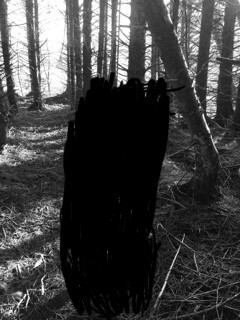 Người dân bản địa cũng tổ chức các nhóm tuần tra vào ban đêm nhằm phát hiện kịp thời những trường hợp có ý định tử tự.