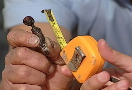 Trong số này, có quan điểm cho rằng sinh vật trên là thi hài của người tí hon.