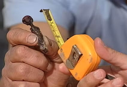 Trong số này, có quan điểm cho rằng sinh vật trên là thi hài của người tí hon.