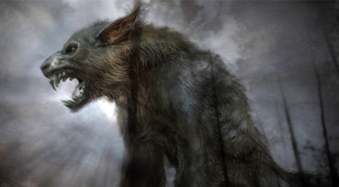 Nhiều người tò mò không biết vì sao con người thường hóa sói vào đêm trăng tròn.