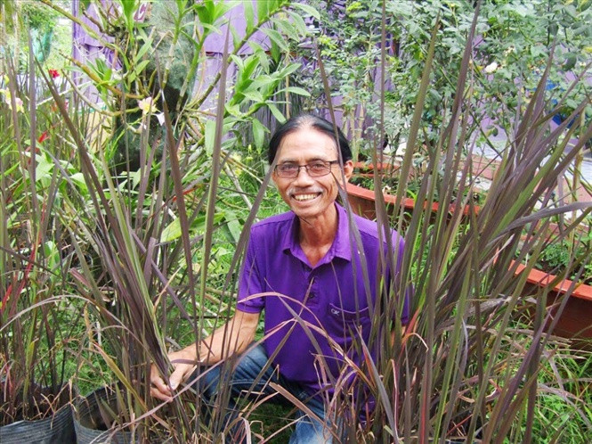 Lao nong 70 tuoi thich trong hoa kieng mau tim, thu tien ty-Hinh-13