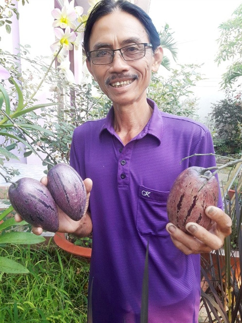 Lao nong 70 tuoi thich trong hoa kieng mau tim, thu tien ty-Hinh-11