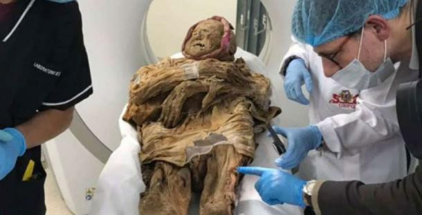 Ông Charlier từng nghiên cứu về thi hài của nhà độc tài Hitler cho hay xác ướp cổ xưa trên ở trong tình trạng khá hoàn hảo nên hé lộ nhiều bí mật bất ngờ.