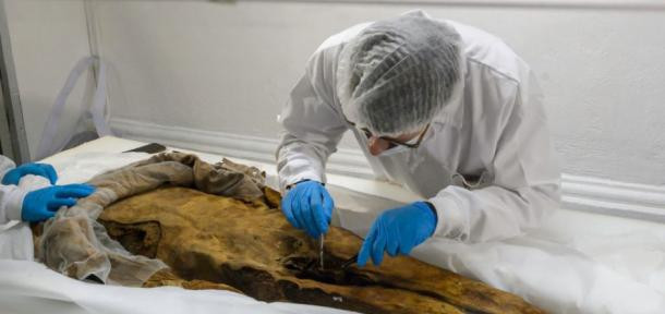 Cho đến nay, các chuyên gia vẫn chưa thể tìm ra danh tính của người đàn ông cũng như lý do vì sao người này được chôn cất cùng một con chuột.