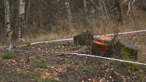 Sau tuyên bố ấy, nhiều người đã đổ xô đến khu vực núi Owl của Ba Lan với những máy móc, công nghệ hiện đại nhằm sớm tìm ra đoàn tàu chở đầy vàng của Hitler.