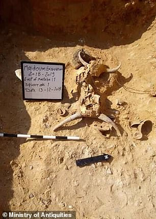 Các chuyên gia vẫn chưa thể xác định danh tính thiếu nữ được chôn cất trong ngôi mộ.