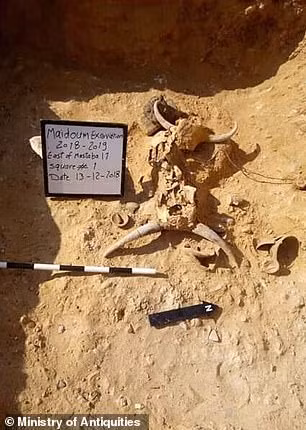 Các chuyên gia vẫn chưa thể xác định danh tính thiếu nữ được chôn cất trong ngôi mộ.