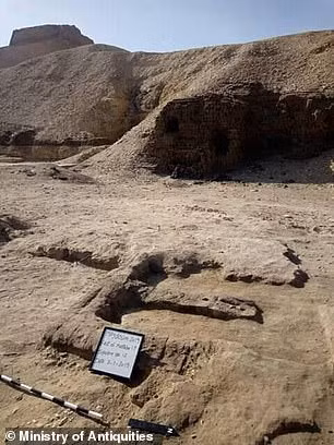 Trong số 2 hộp sọ động vật được tìm thấy có một chiếc thuộc về con bò đực.