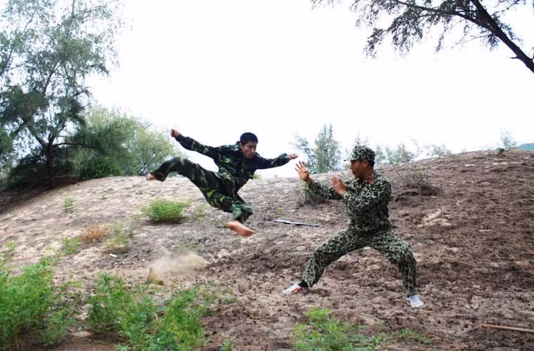 Trải qua quá trình xây dựng, chiến đấu, trưởng thành, hệ thống lý luận và tài liệu huấn luyện quân sự, chính trị, hậu cần, kỹ thuật của Binh chủng Đặc công đã từng bước được hoàn chỉnh, trong đó khẳng định chức năng chiến đấu của đặc công là: Tiến công những mục tiêu hiểm yếu, quan trọng trong hậu phương và trong chiều sâu đội hình đối phương cả trên đất liền, sông, biển, hải đảo…