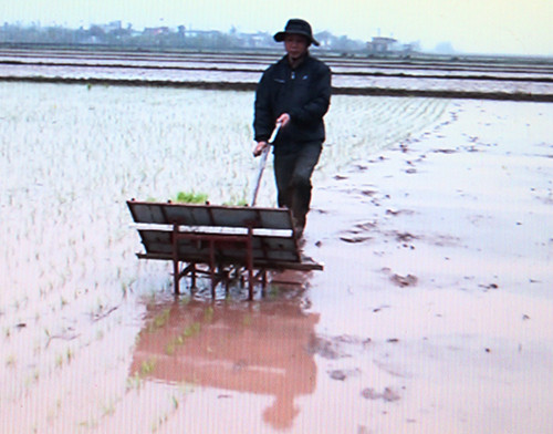 May cay khong dong co cua dai gia hai lua-Hinh-5