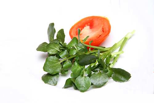 Rau xanh thanh thuoc doc vi tuong tac voi thuoc