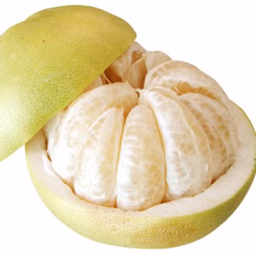 Chũa chúng dau dàu bàng buoi chung mat ong