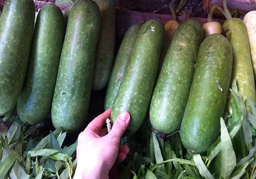 Sai lầm chết người về giảm cân bằng nước ép bí đao Sai lam chet nguoi ve giam can bang nuoc ep bi dao