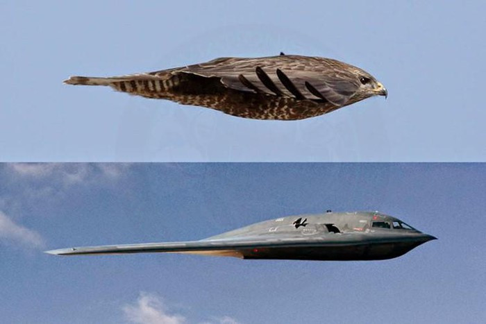 Mỹ vẫn là quốc gia đi đầu trong lĩnh vực chế tạo máy bay tàng hình nói chung và máy bay ném bom chiến lược tàng hình nói riêng. Cho đến hiện tại B-2 Spirit vẫn là loại máy bay ném bom tàng hình đắt nhất, độc đáo nhất và mạnh nhất thế giới.