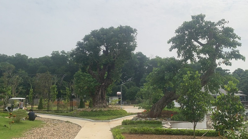 Thach That, Ha Noi: Du an nuoi trong thuy san bien tuong... “trang vien nghi duong”?-Hinh-2