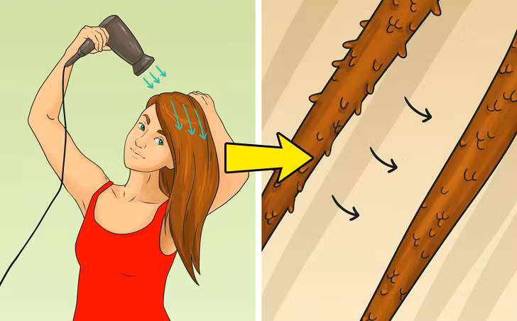 Chọn sai hướng gió của máy sấy: Hãy sấy tóc theo chiều từ chân tóc đến ngọn tóc, theo hướng mọc của tóc. Nếu bạn sấy theo hướng ngược lại, các vảy cấu thành lớp biểu bì sẽ mở ra, dẫn đến tóc bị uốn dợn và dễ bị rối. Nếu bạn sấy tóc theo chiều từ chân đến ngọn, các vảy sẽ khít vào nhau và tạo độ bóng tự nhiên cho mái tóc.