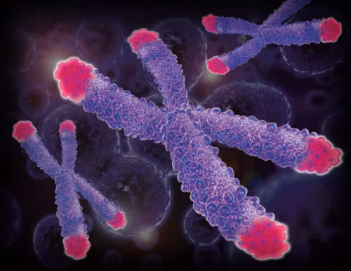 5 giai ma dang kinh ngac ve cai chet-Hinh-2