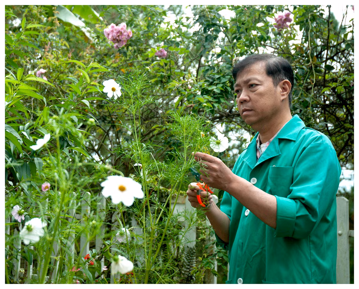 GS.TS Dương Tấn Nhựt bên những loài hoa quý Đà Lạt được ông nhân giống thành công.