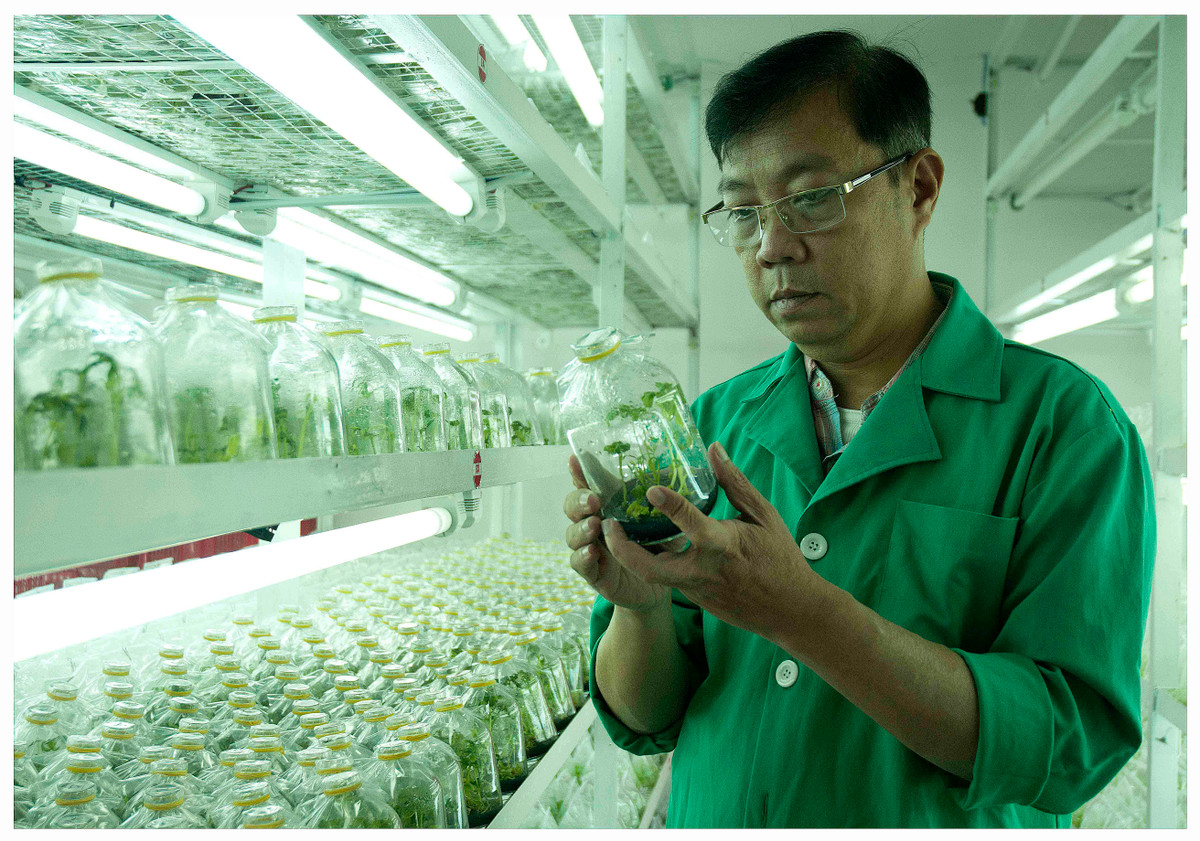 GS.TS Duong Tan Nhut nguoi nhan giong thanh cong nhieu giong hoa Da Lat-Hinh-2