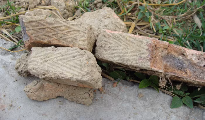 Dieu kho tin ve ‘cung dien coi am’ toan kho bau duoi long dat Hai Duong-Hinh-7