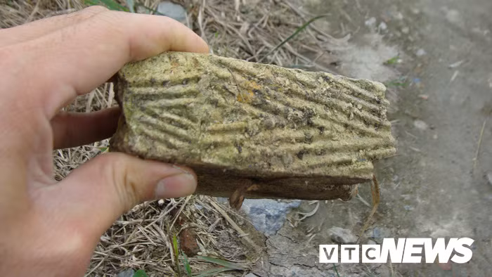 Tham canh tan pha mo co khong lo chua ca tan bau vat o Hai Duong-Hinh-2