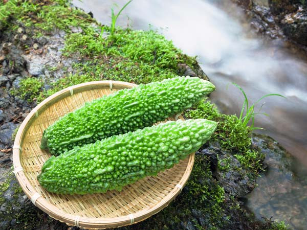 Nhiều người thích ăn khổ qua nhưng lại ngại vị đắng của nó. Bạn có thể sử dụng phương pháp đơn giản dưới đây giúp giảm bớt vị đắng của mướp đắng.