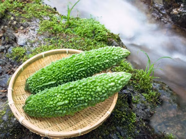 Nhiều người thích ăn khổ qua nhưng lại ngại vị đắng của nó. Bạn có thể sử dụng phương pháp đơn giản dưới đây giúp giảm bớt vị đắng của mướp đắng.