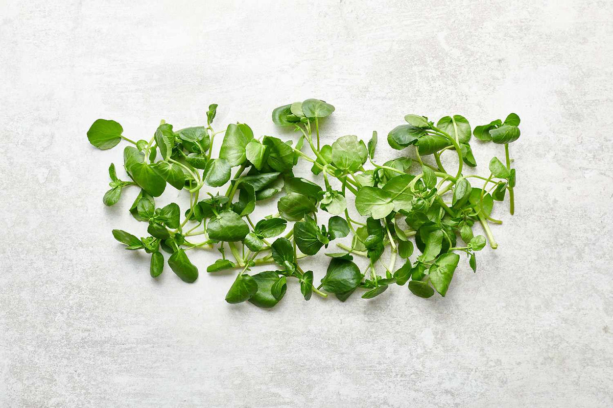 Cụ thể, một nghiên cứu được công bố trên tạp chí của Trung tâm Kiểm soát và Phòng ngừa Dịch bệnh cho hay, cải xoong là một trong những loại rau lành mạnh nhất. 