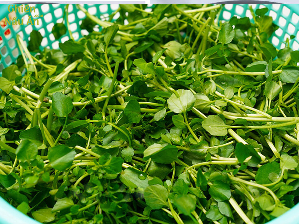 Loại rau này có thể được thêm vào món salad, bánh mì sandwich hoặc sinh tố để tăng cường sức khỏe. Nó chứa nhiều vitamin A và kali, nhiều hơn cả rau diếp". 