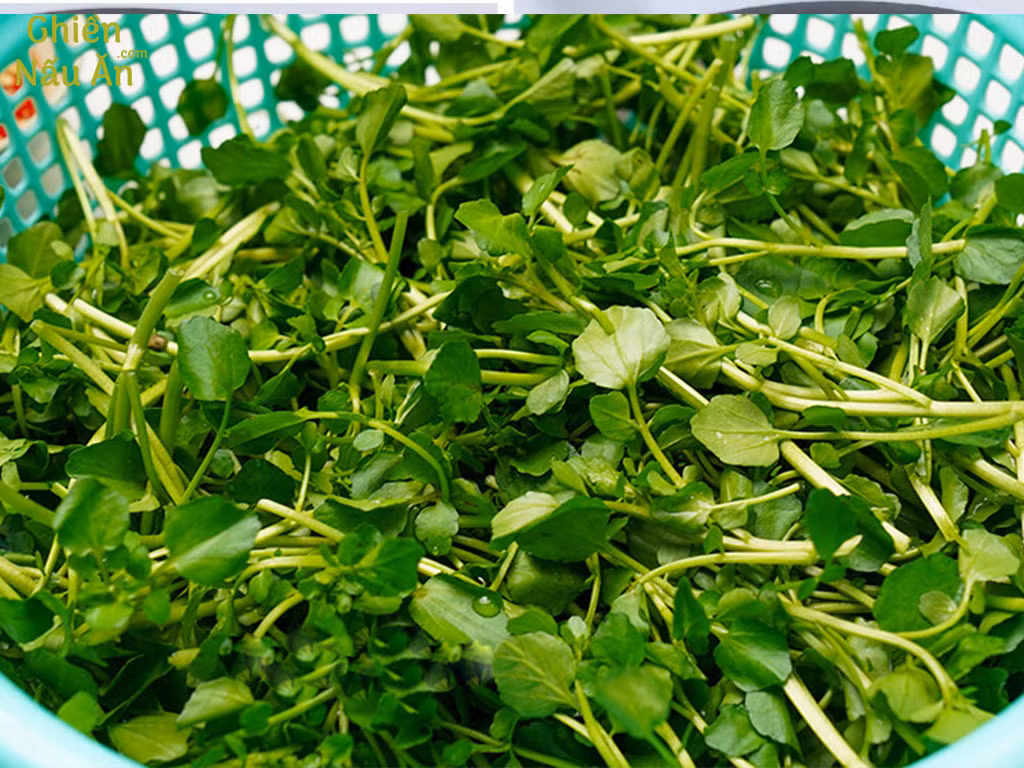 Loại rau này có thể được thêm vào món salad, bánh mì sandwich hoặc sinh tố để tăng cường sức khỏe. Nó chứa nhiều vitamin A và kali, nhiều hơn cả rau diếp". 