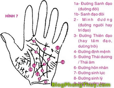 Doan van menh qua nhung duong sinh menh thuong gap