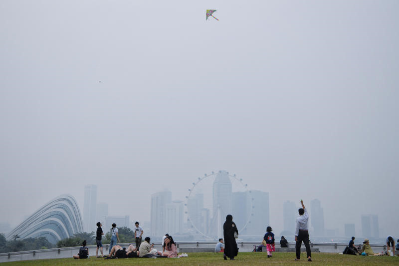 Indonesia phu nhan la thu pham khien Singapore mit mu trong bui-Hinh-2