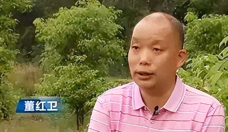 Trong giong cay vo dung, thuc chat lai co “mo vang an”-Hinh-2