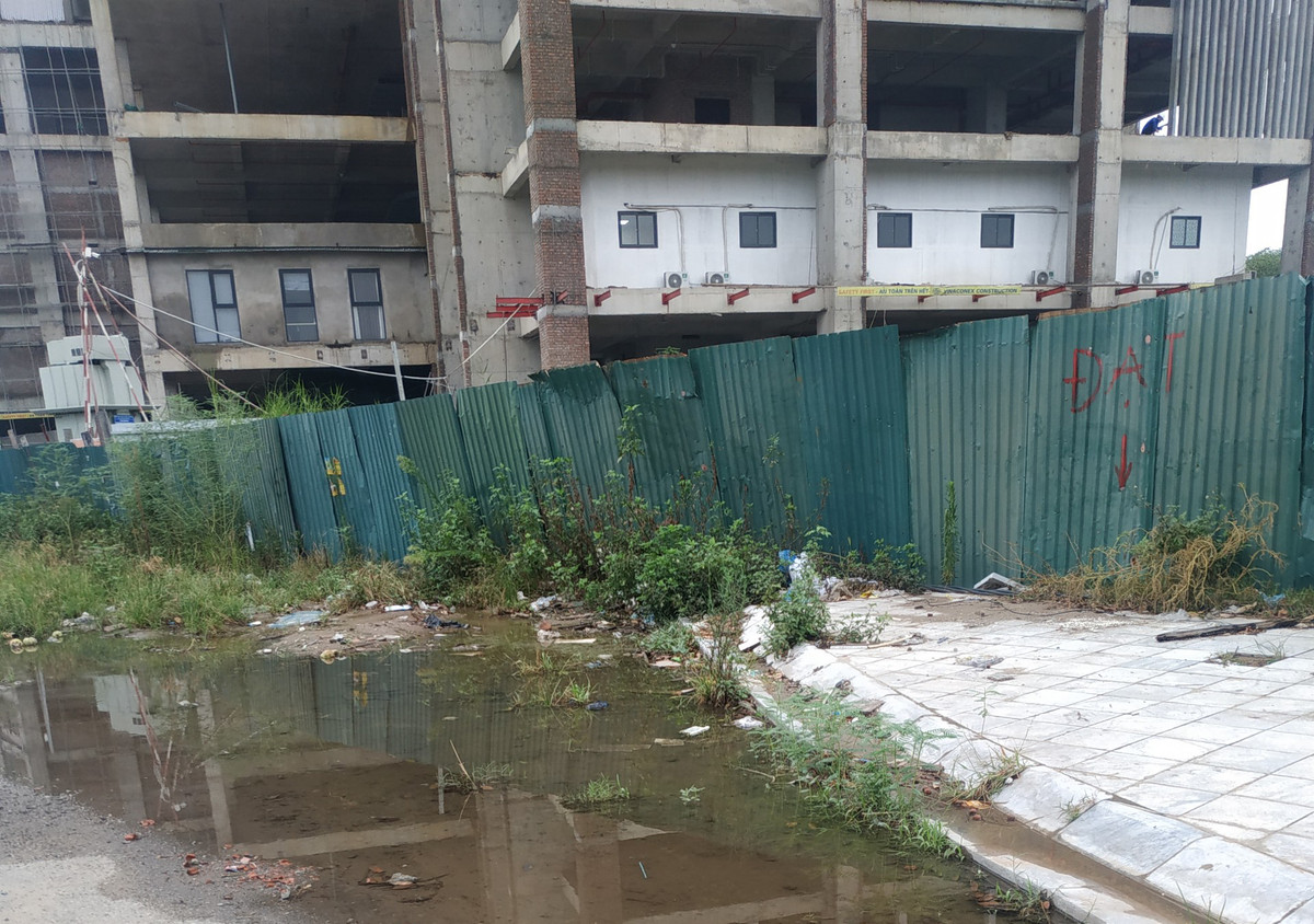 Từ nhiều tháng nay, người dân cho biết dự án Bea Sky đã hoàn thiện phần thô nhưng không còn thấy hoạt động rầm rộ như trước. Xung quanh dự án được quây tôn kín, nhiều hạng mục công trình chưa hoàn thiện dẫn đến việc cỏ mọc um tùm, nước đọng thành vũng trên đường và xung quanh dự án khiến khung cảnh đại lộ nghìn tỷ càng trở nên xấu xí.