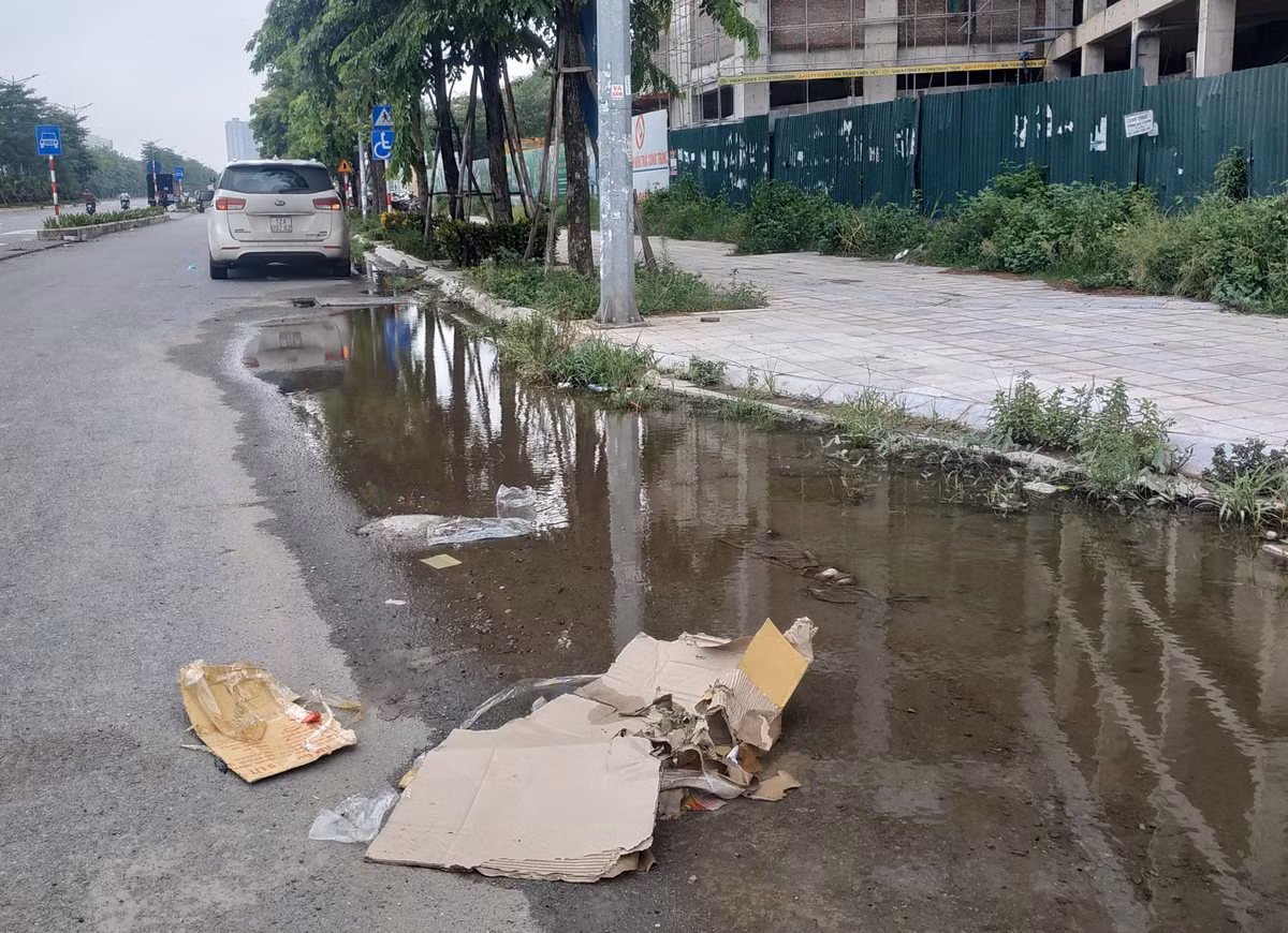 Rác, nước ứ đọng gây mất mỹ quan tuyến đại lộ nghìn tỷ