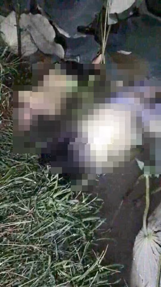 Các vật thể xuất hiện trong đoạn clip.