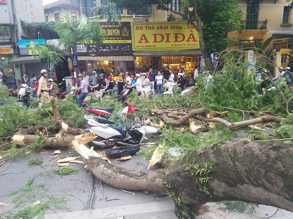 Cây xanh gãy đổ đè trúng 5 người đi đường, khiến các nạn nhân bị thương nặng.