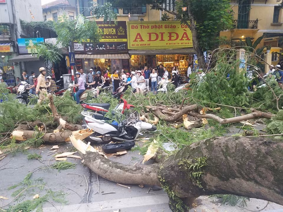 Cây xanh gãy đổ đè trúng 5 người đi đường, khiến các nạn nhân bị thương nặng.