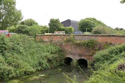 Rung ron cau chuyen ma soi tai xuat