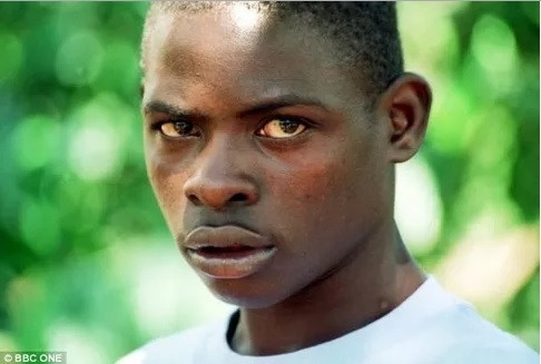 Ven man bi an dong vat co kha nang nuoi lon con nguoi-Hinh-2