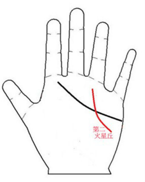 Hai đường chỉ tay đan chéo nhau là người phụ nữ vất vả, gặp nhiều trắc trở trong tình yêu và thường sống cô đơn.