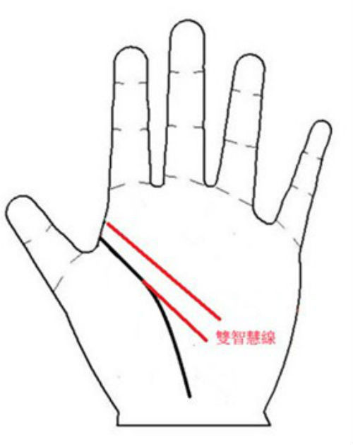 Phụ nữ sở hữu đường chỉ tay sáng tạo (một hoặc hai đường ngắn thẳng đứng và hơi nghiêng) là người thành công trong sự nghiệp nhưng bất hạnh về đường con cái. Để duy trì cuộc sống hôn nhân hạnh phúc, đòi hỏi hai vợ chồng phải thật sự yêu thương và chia sẻ với nhau.