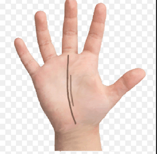 Mặc dù khá ổn định về công việc nhưng họ lại gặp khó khăn trong cuộc sống gia đình. Sự mạnh mẽ khiến họ không sẵn sàng cho cuộc sống hôn nhân tẻ nhạt. Họ thường kết hôn muộn và kết hôn cùng người đàn ông đã có gia đình.