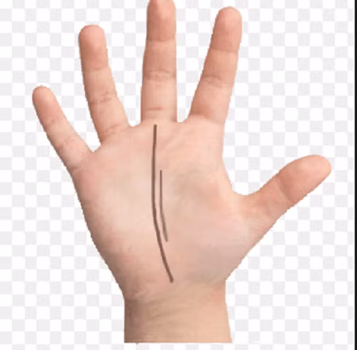 Mặc dù khá ổn định về công việc nhưng họ lại gặp khó khăn trong cuộc sống gia đình. Sự mạnh mẽ khiến họ không sẵn sàng cho cuộc sống hôn nhân tẻ nhạt. Họ thường kết hôn muộn và kết hôn cùng người đàn ông đã có gia đình.