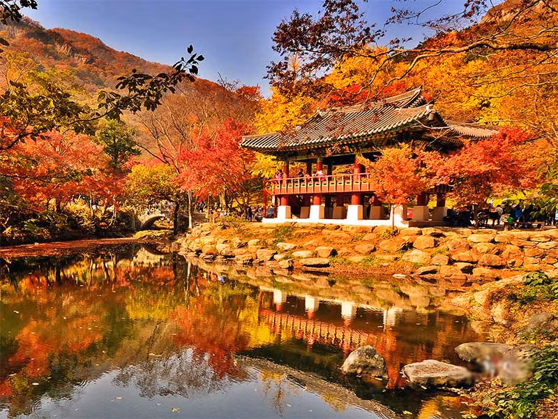 Chùa phật giáo Baekyangsa là địa điểm không thể bỏ qua nếu muốn ghi lại những khoảnh khắc tuyệt đẹp của mùa thu Hàn Quốc.