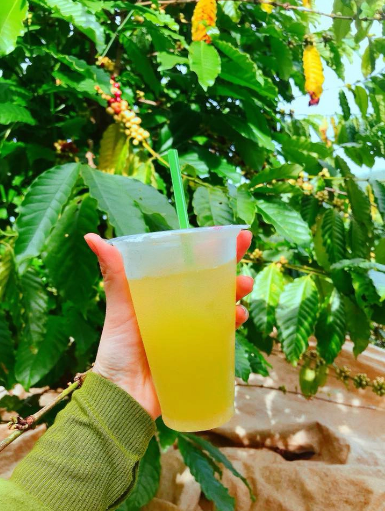 Một vài phiên bản nước mía độc lạ từng xuất hiện tại Việt Nam phải kể đến như: nước mía sầu riêng, nước mía đá xay, nước mía chanh muối, nước mía đậu xanh cốt dừa,...Ảnh: Tổng hợp