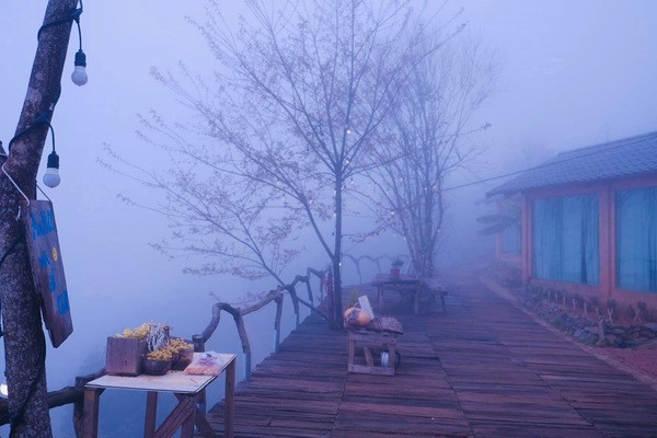 Trên các trang mạng xã hội dễ dàng bắt gặp hình ảnh này cùng dòng trạng thái: “Cũng là mây Tà Xùa nhưng đây là mây mù. Trải nghiệm đáng nhớ của 2 đứa lương 5 triệu tích góp nửa năm đi Tà Xùa”.