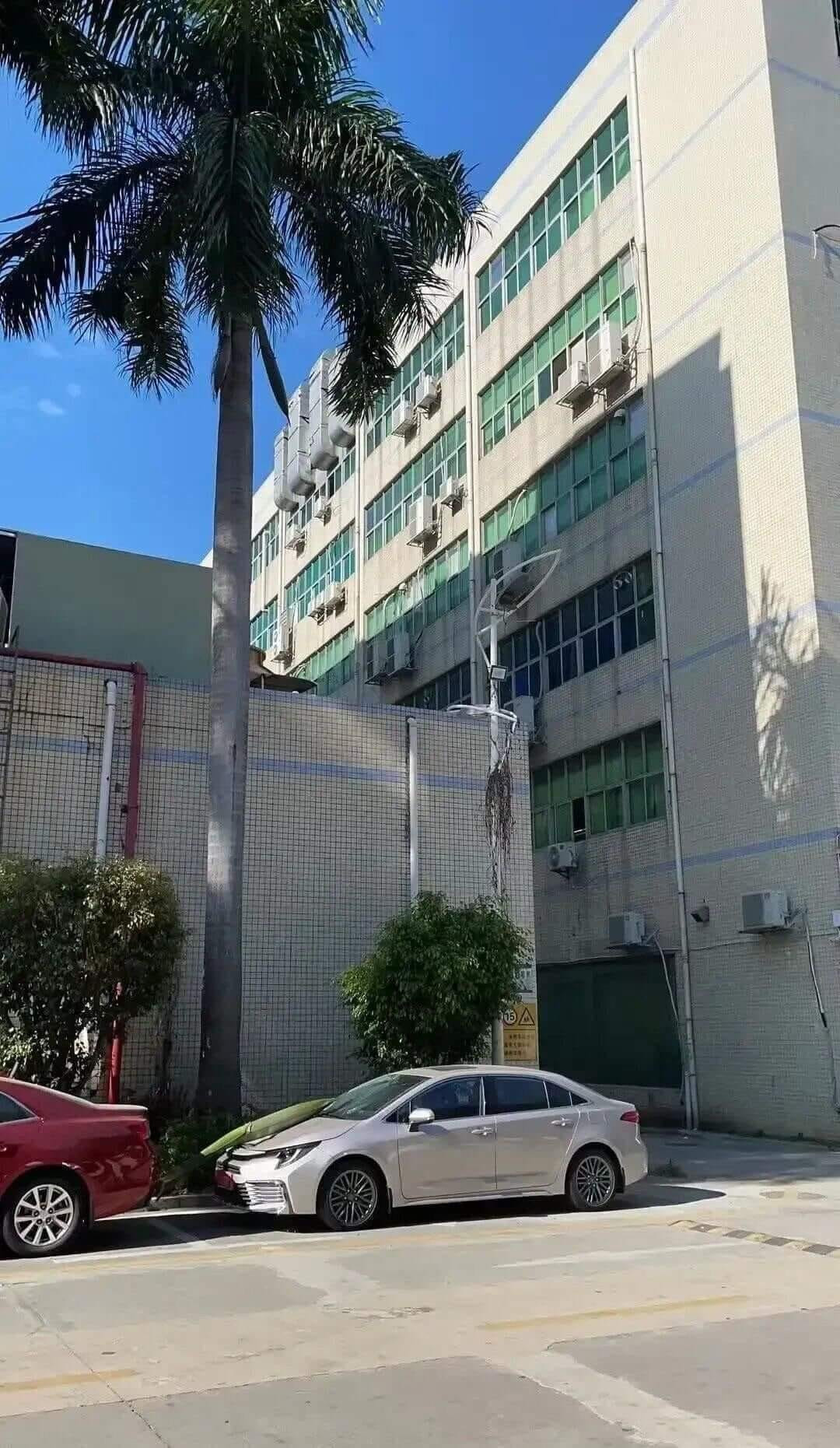 Nhìn cảnh tượng này, chủ xe chỉ biết khóc trong lòng bởi chẳng thể nào bắt đền được ai.